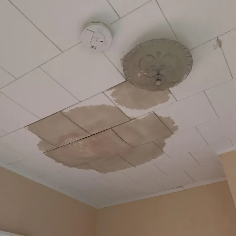 Ceiling Water Damage Repair in Spink County, SD