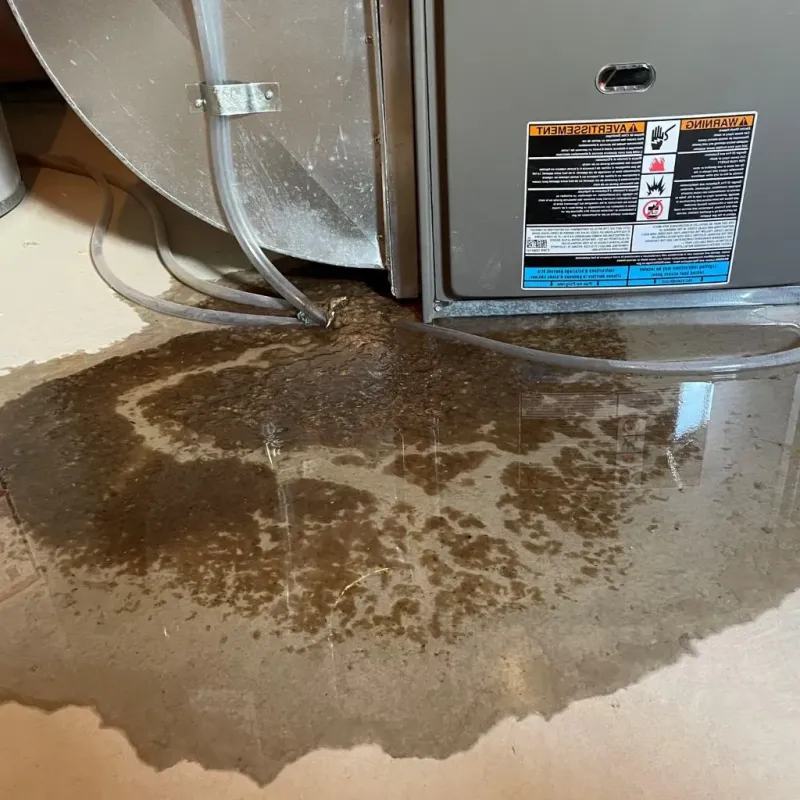 Pipe Burst and Leak Restoration in Spink County, SD
