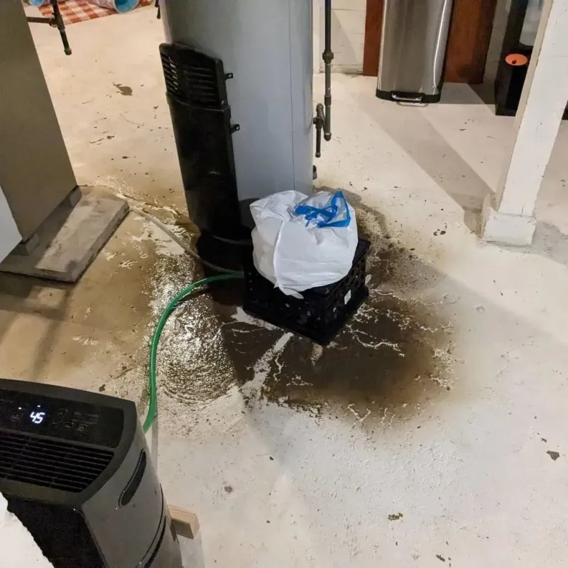 Sewage Backup Cleanup Service in Spink County, SD